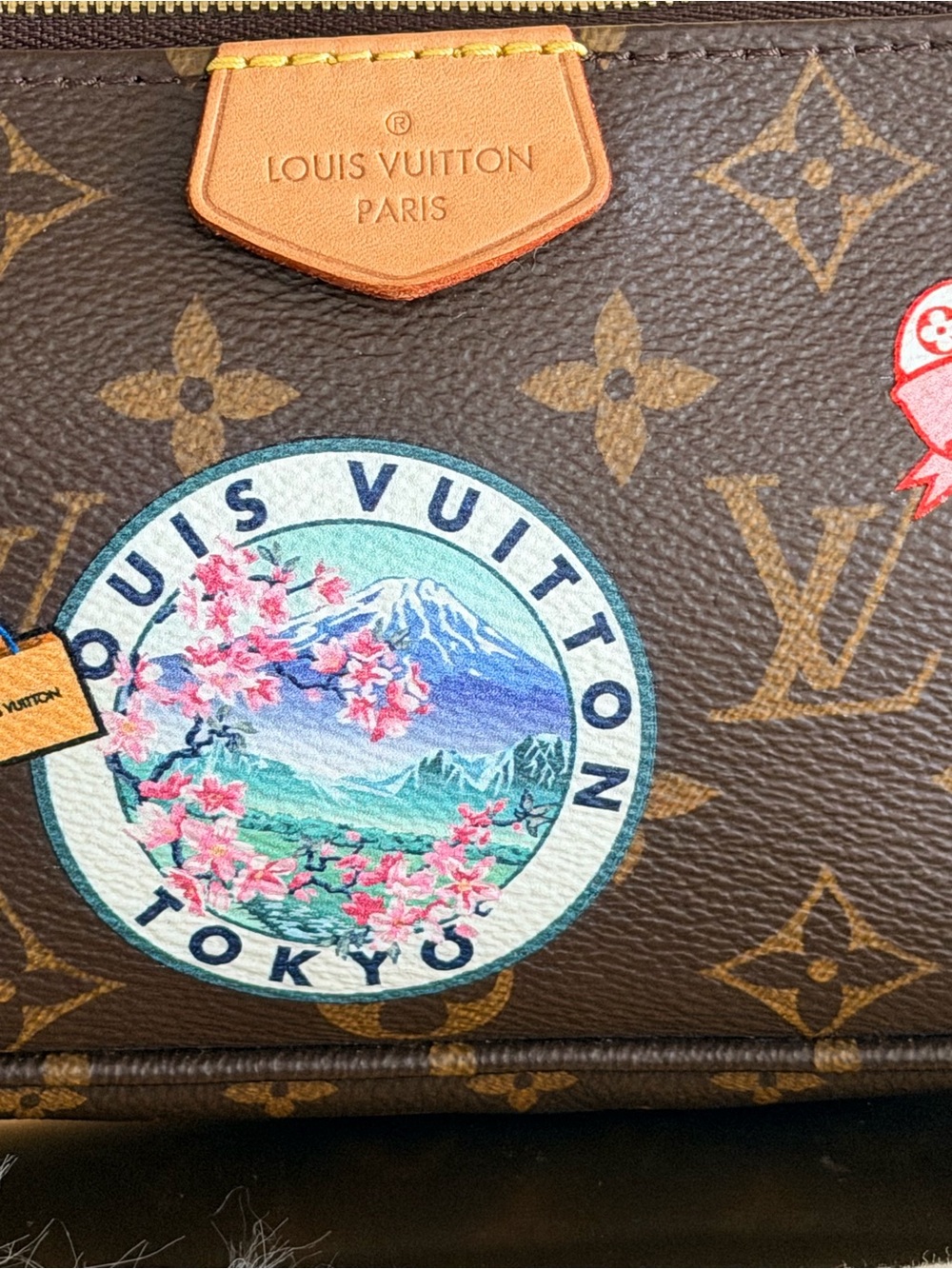 Louis Vuitton Mini Pochette Accessoires - Picture 7 of 9